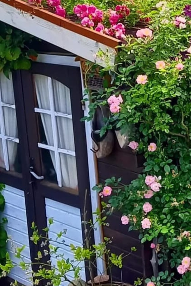 Gartenhäuschen mit Rosen